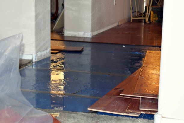 Professional Burst Pipe Cleanup technician working in Cortez, CO